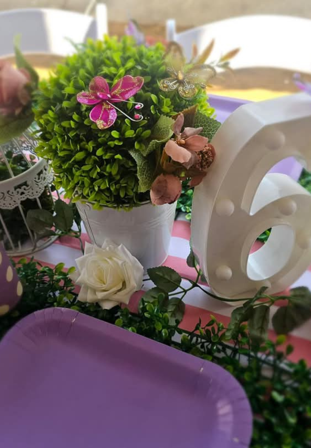 Galary Website Correct size