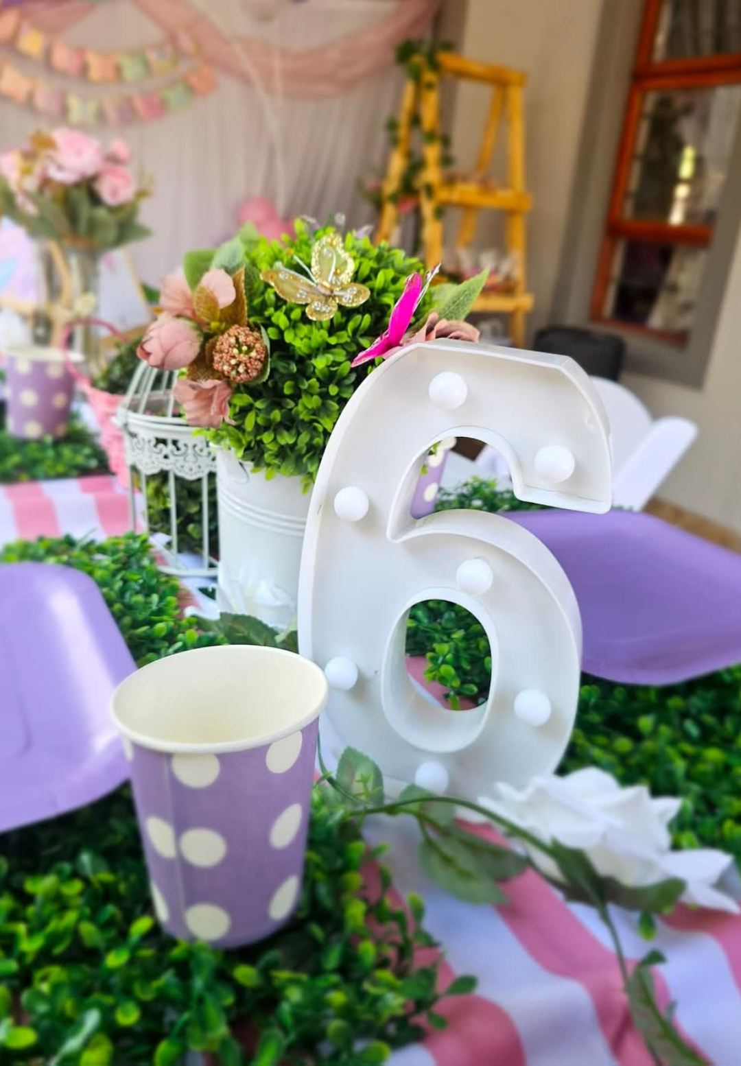 galary website Correct size 3