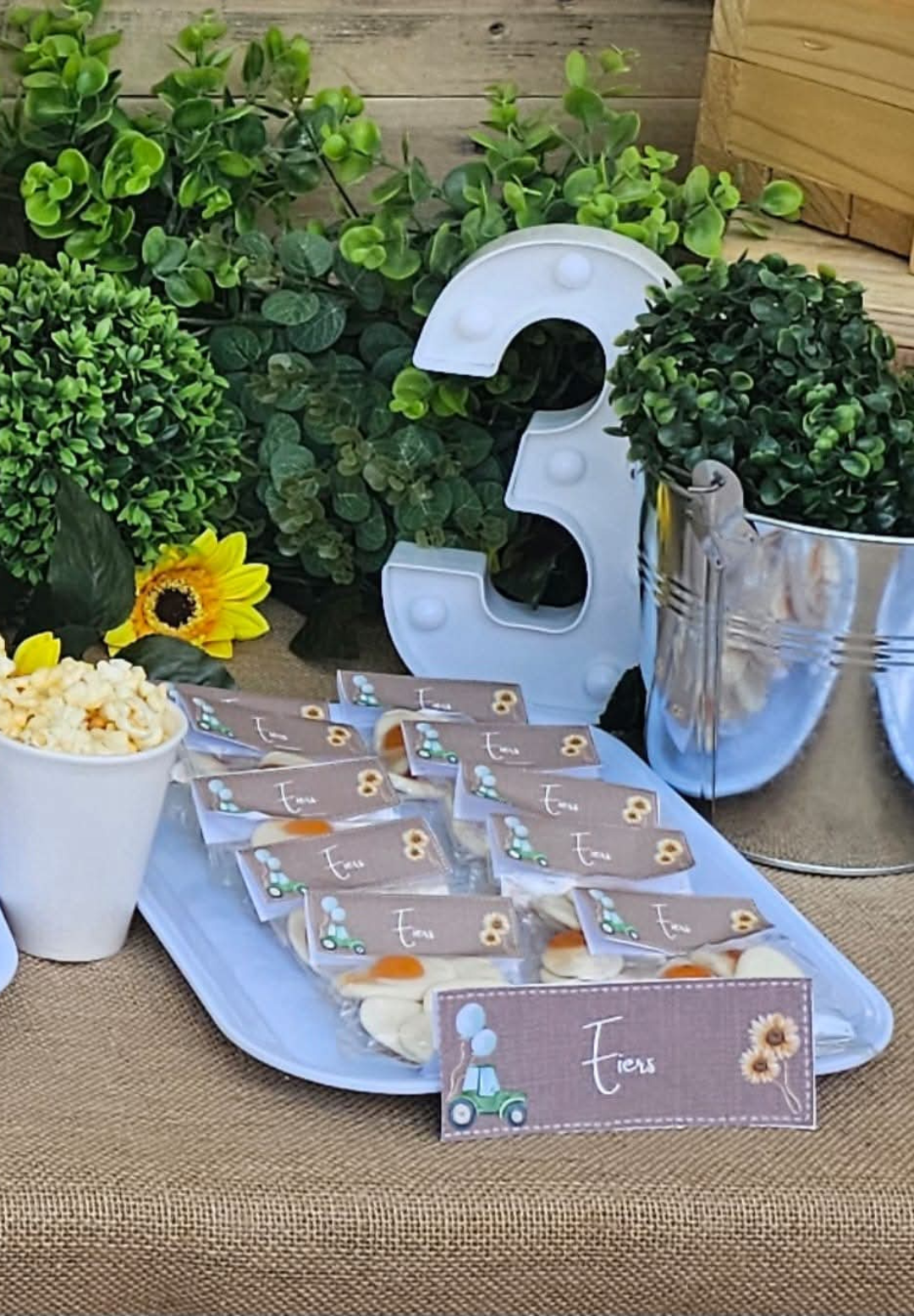 galary website Correct size 7